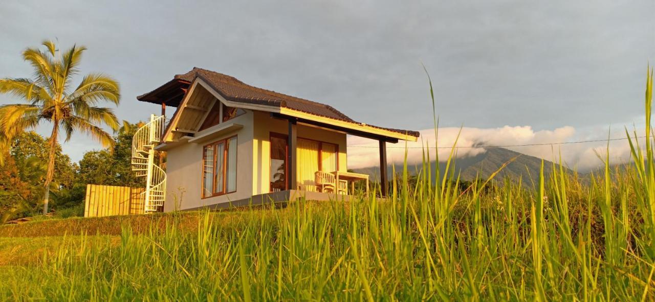 Kubu D'Ume Homestay Джатилувих Екстериор снимка