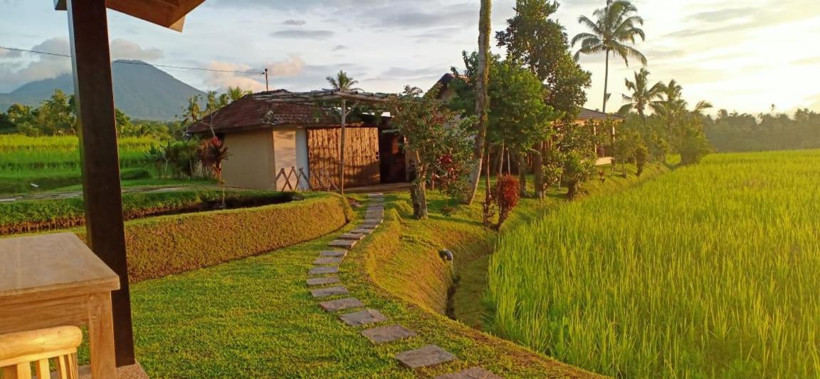 Kubu D'Ume Homestay Джатилувих Екстериор снимка
