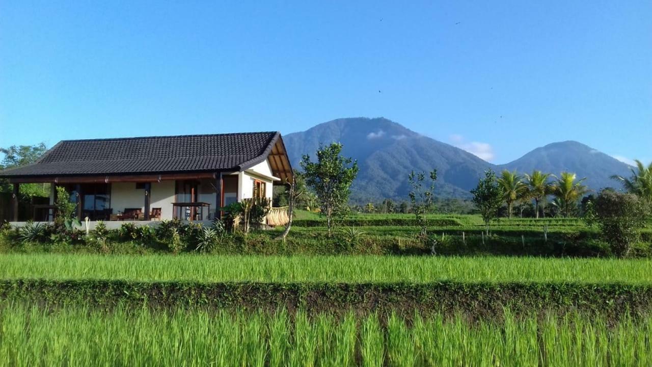 Kubu D'Ume Homestay Джатилувих Екстериор снимка