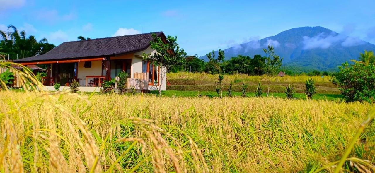 Kubu D'Ume Homestay Джатилувих Екстериор снимка