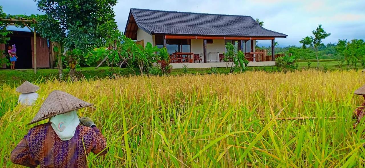Kubu D'Ume Homestay Джатилувих Екстериор снимка
