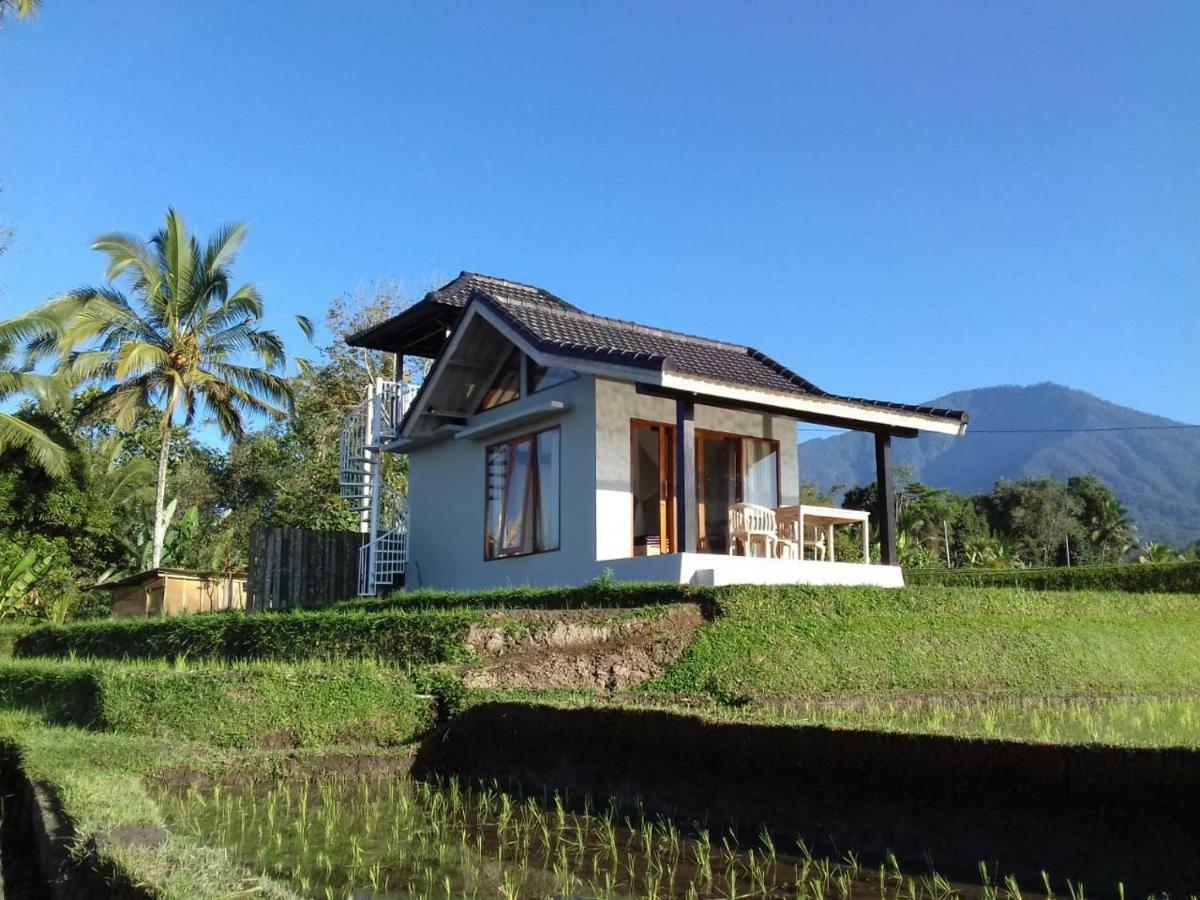 Kubu D'Ume Homestay Джатилувих Екстериор снимка